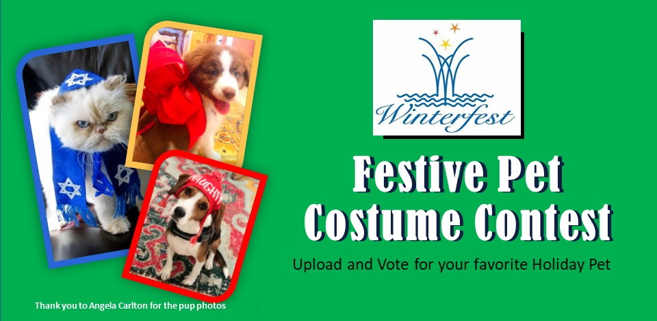 The Winterfest Festive Pet Costume Contest